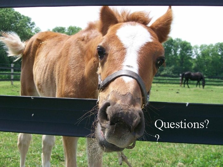 Questions? ? 