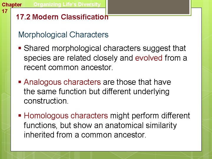 Chapter 17 Organizing Life’s Diversity 17. 2 Modern Classification Morphological Characters § Shared morphological