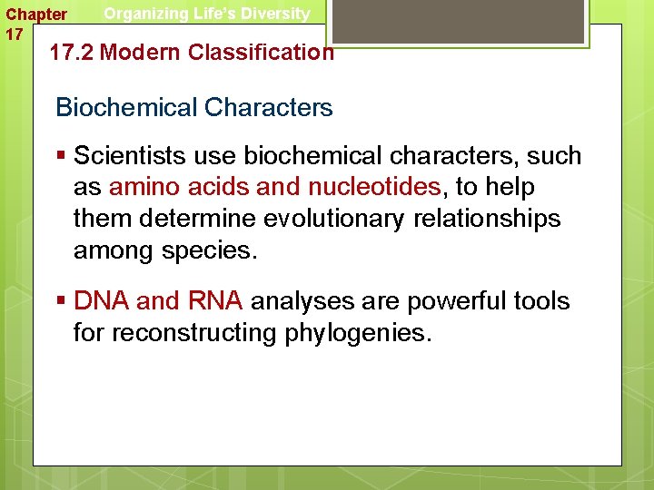 Chapter 17 Organizing Life’s Diversity 17. 2 Modern Classification Biochemical Characters § Scientists use