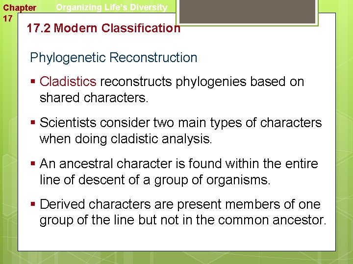 Chapter 17 Organizing Life’s Diversity 17. 2 Modern Classification Phylogenetic Reconstruction § Cladistics reconstructs