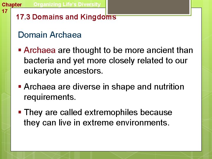 Chapter 17 Organizing Life’s Diversity 17. 3 Domains and Kingdoms Domain Archaea § Archaea