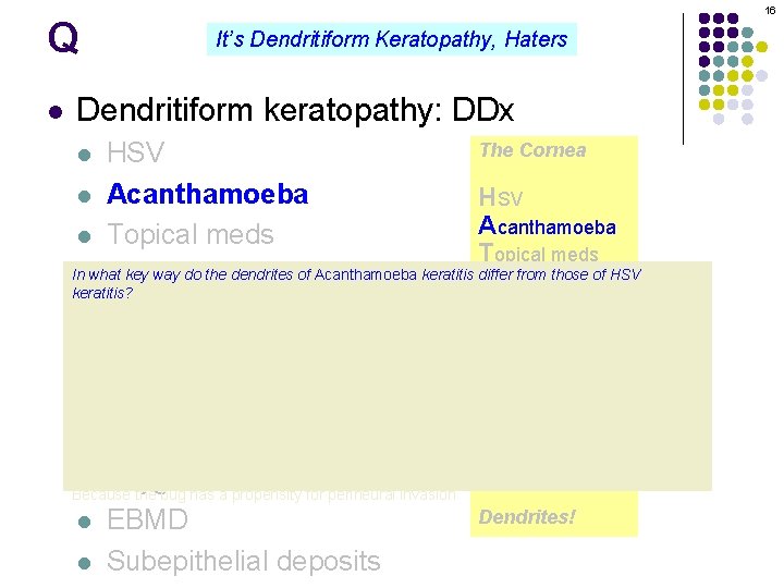 Q l 16 It’s Dendritiform Keratopathy, Haters Dendritiform keratopathy: DDx The Cornea HSV l