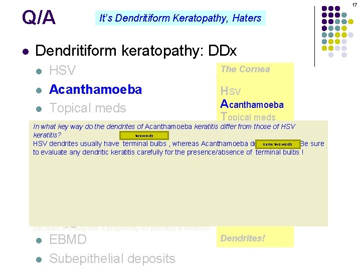 Q/A l 17 It’s Dendritiform Keratopathy, Haters Dendritiform keratopathy: DDx The Cornea HSV l