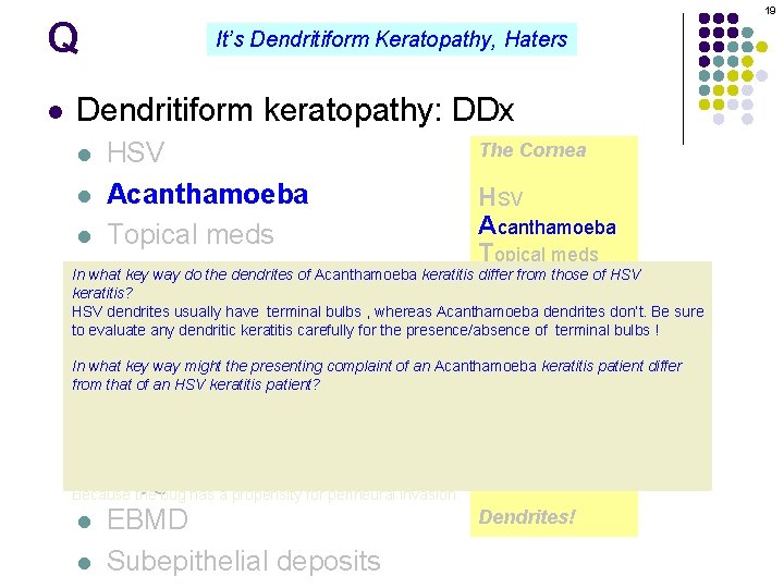 Q l 19 It’s Dendritiform Keratopathy, Haters Dendritiform keratopathy: DDx The Cornea HSV l