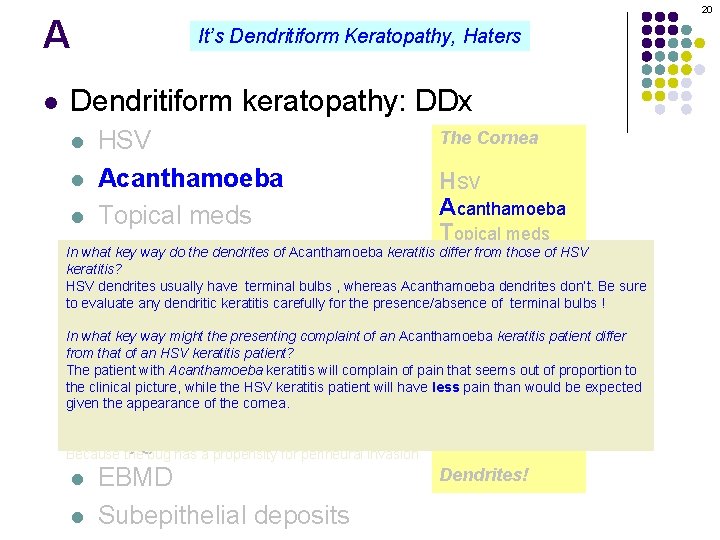 A l 20 It’s Dendritiform Keratopathy, Haters Dendritiform keratopathy: DDx The Cornea HSV l