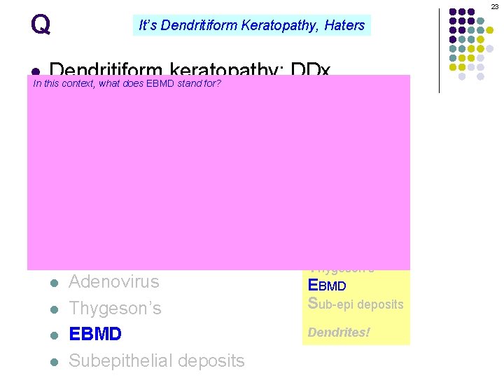 23 Q It’s Dendritiform Keratopathy, Haters Dendritiform keratopathy: DDx In this context, what does