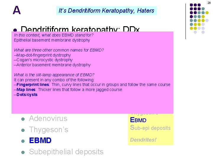 28 A It’s Dendritiform Keratopathy, Haters Dendritiform keratopathy: DDx In this context, what does