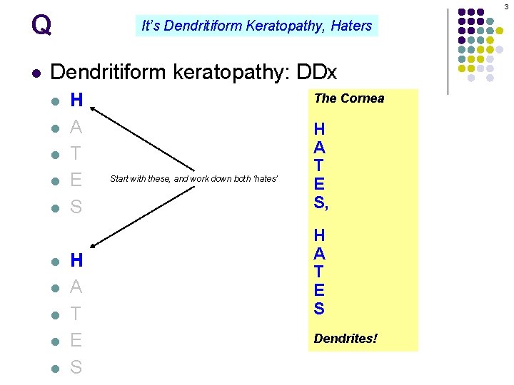 3 Q l It’s Dendritiform Keratopathy, Haters Dendritiform keratopathy: DDx l l l l