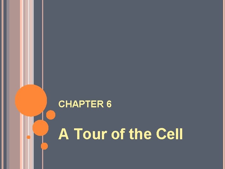 CHAPTER 6 A Tour of the Cell CHAPTER 6 A Tour of the Cell