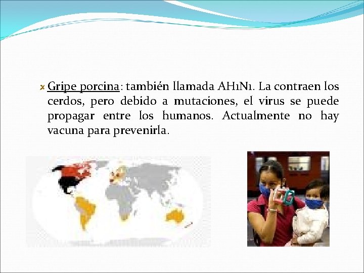 Gripe porcina: también llamada AH 1 N 1. La contraen los cerdos, pero debido