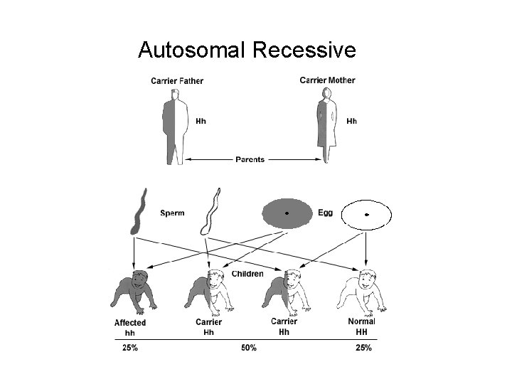 Autosomal Recessive 