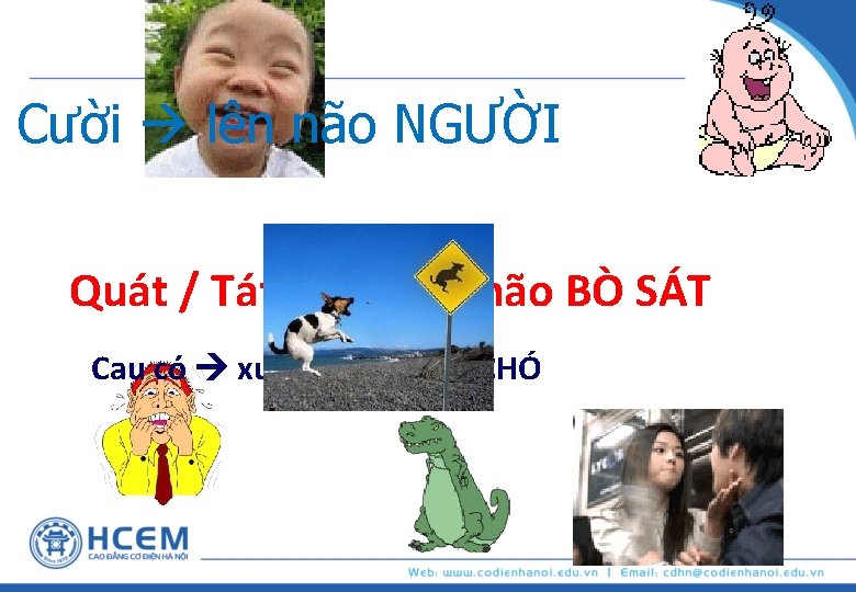 Cười lên não NGƯỜI Quát / Tát xuống não BÒ SÁT Cau có xuống