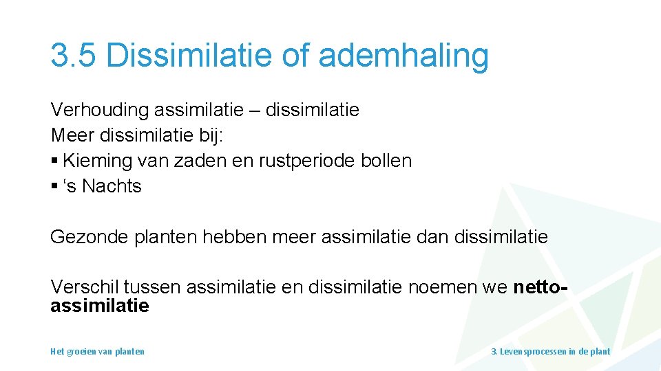 3. 5 Dissimilatie of ademhaling Verhouding assimilatie – dissimilatie Meer dissimilatie bij: § Kieming