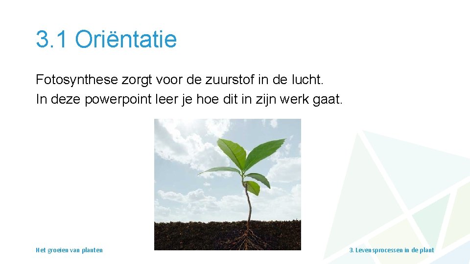 3. 1 Oriëntatie Fotosynthese zorgt voor de zuurstof in de lucht. In deze powerpoint
