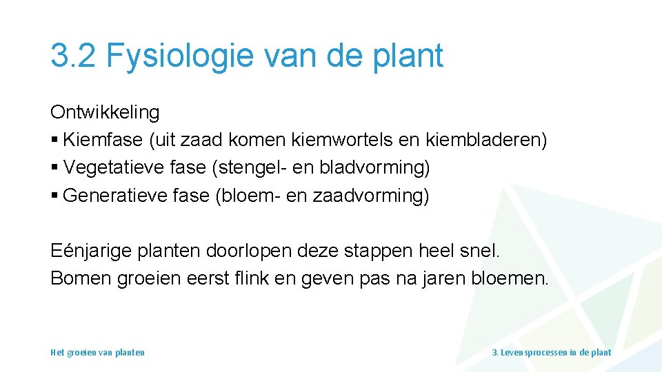 3. 2 Fysiologie van de plant Ontwikkeling § Kiemfase (uit zaad komen kiemwortels en