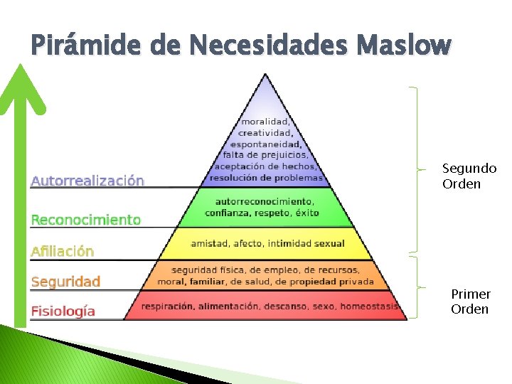 Pirámide de Necesidades Maslow Segundo Orden Primer Orden 