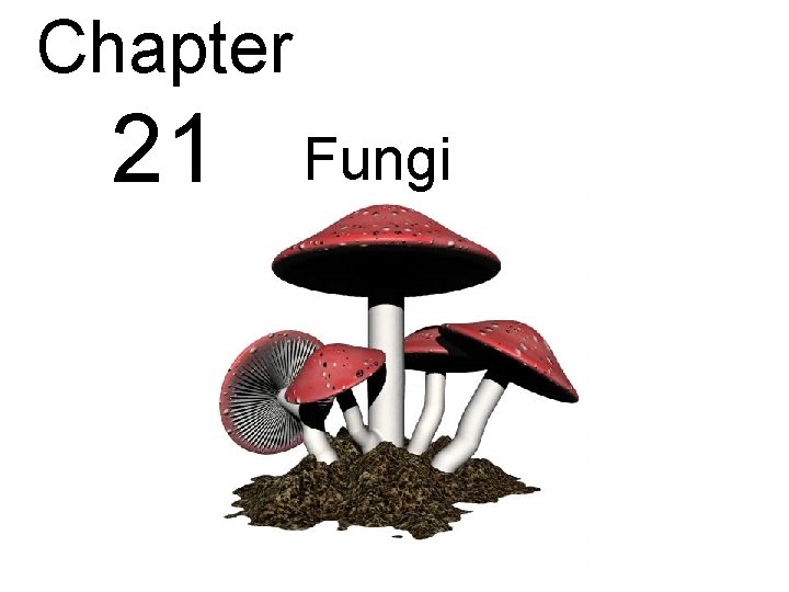 Chapter 21 Fungi Chapter 21 Fungi