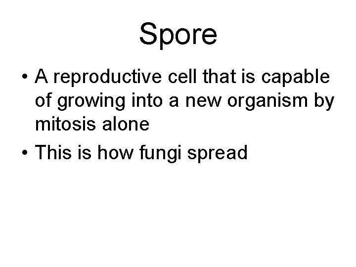 Spore • A reproductive cell that is capable of growing into a new organism Spore • A reproductive cell that is capable of growing into a new organism