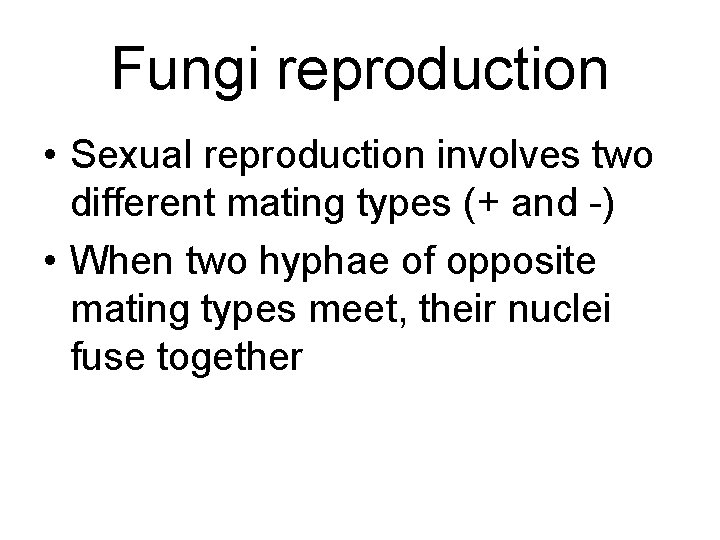 Fungi reproduction • Sexual reproduction involves two different mating types (+ and -) • Fungi reproduction • Sexual reproduction involves two different mating types (+ and -) •