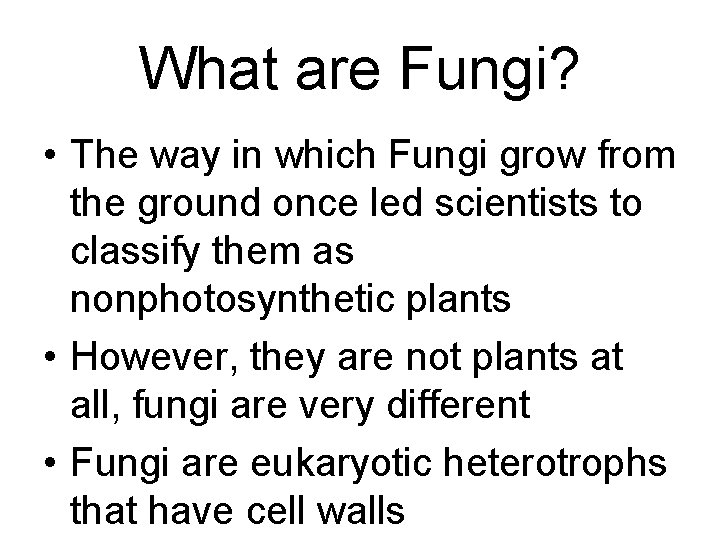 What are Fungi? • The way in which Fungi grow from the ground once What are Fungi? • The way in which Fungi grow from the ground once