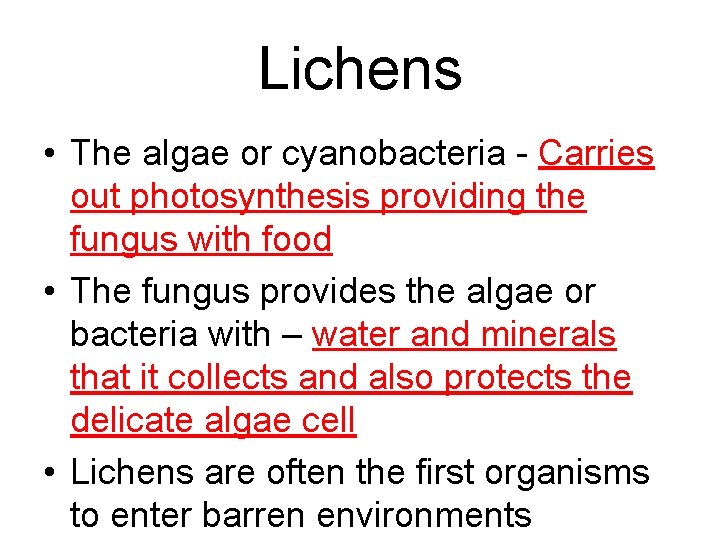 Lichens • The algae or cyanobacteria - Carries out photosynthesis providing the fungus with Lichens • The algae or cyanobacteria - Carries out photosynthesis providing the fungus with