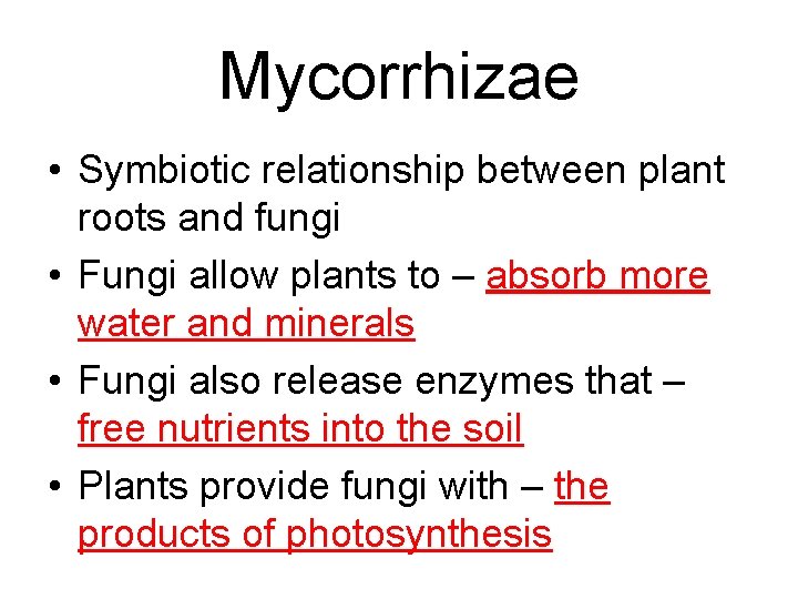 Mycorrhizae • Symbiotic relationship between plant roots and fungi • Fungi allow plants to Mycorrhizae • Symbiotic relationship between plant roots and fungi • Fungi allow plants to