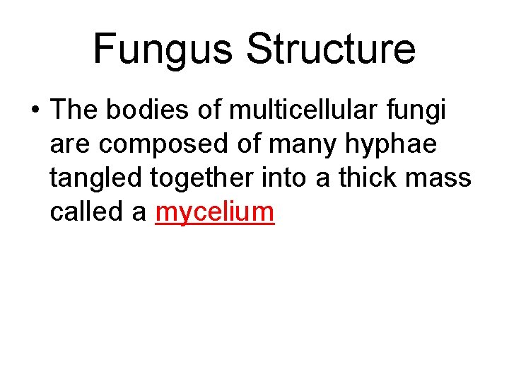 Fungus Structure • The bodies of multicellular fungi are composed of many hyphae tangled Fungus Structure • The bodies of multicellular fungi are composed of many hyphae tangled