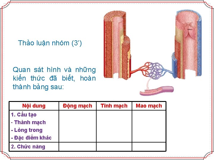 Thảo luận nhóm (3’) Quan sát hình và những kiến thức đã biết, hoàn