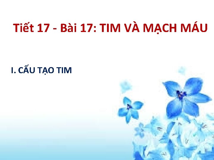 Tiết 17 - Bài 17: TIM VÀ MẠCH MÁU I. CẤU TẠO TIM 