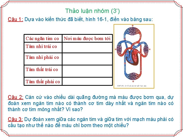 Thảo luận nhóm (3’) Câu 1: Dựa vào kiến thức đã biết, hình 16