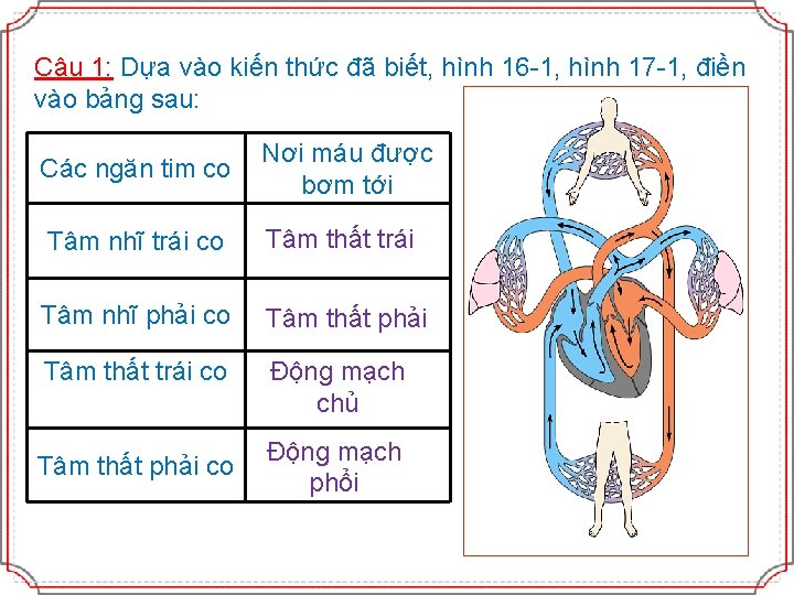 Câu 1: Dựa vào kiến thức đã biết, hình 16 -1, hình 17 -1,