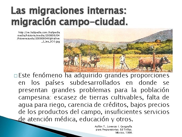 Las migraciones internas: migración campo-ciudad. http: //ve. kalipedia. com/kalipedia media/historia/media/200808/04 /hisvenezuela/20080804 klphishve _2_Ies_SCO. jpg