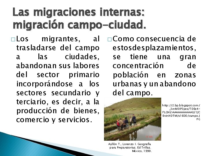 Las migraciones internas: migración campo-ciudad. � Los migrantes, al trasladarse del campo a las