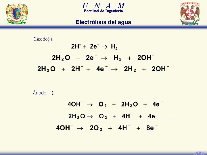 U N A M Facultad de Ingeniería Electrólisis del agua Cátodo(-): Ánodo (+): AVM U N A M Facultad de Ingeniería Electrólisis del agua Cátodo(-): Ánodo (+): AVM