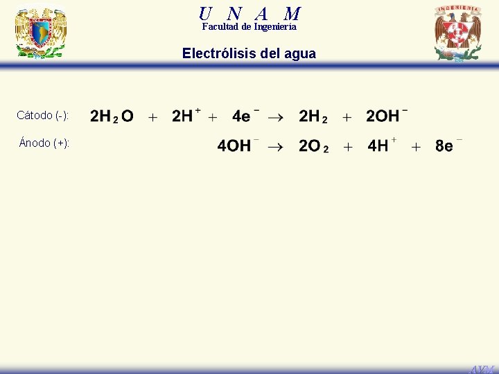 U N A M Facultad de Ingeniería Electrólisis del agua Cátodo (-): Ánodo (+):