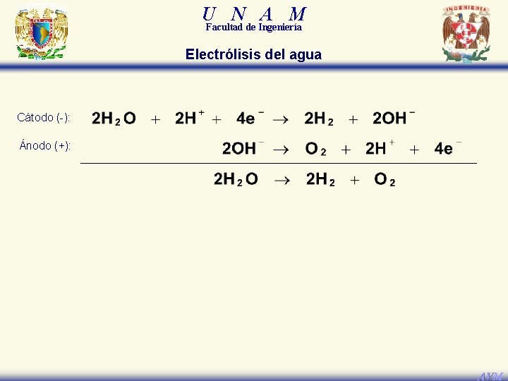 U N A M Facultad de Ingeniería Electrólisis del agua Cátodo (-): Ánodo (+):