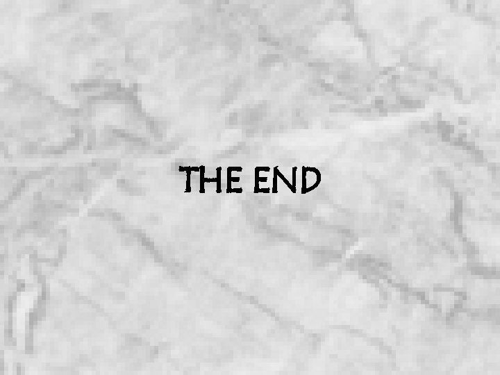 THE END 