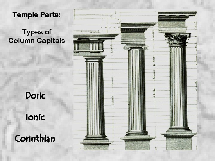 Temple Parts: Types of Column Capitals Doric Ionic Corinthian 
