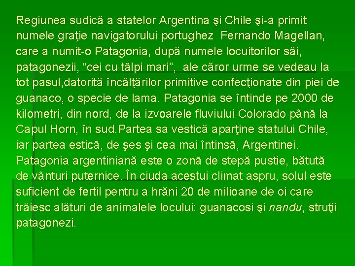  Regiunea sudică a statelor Argentina şi Chile şi-a primit numele graţie navigatorului portughez