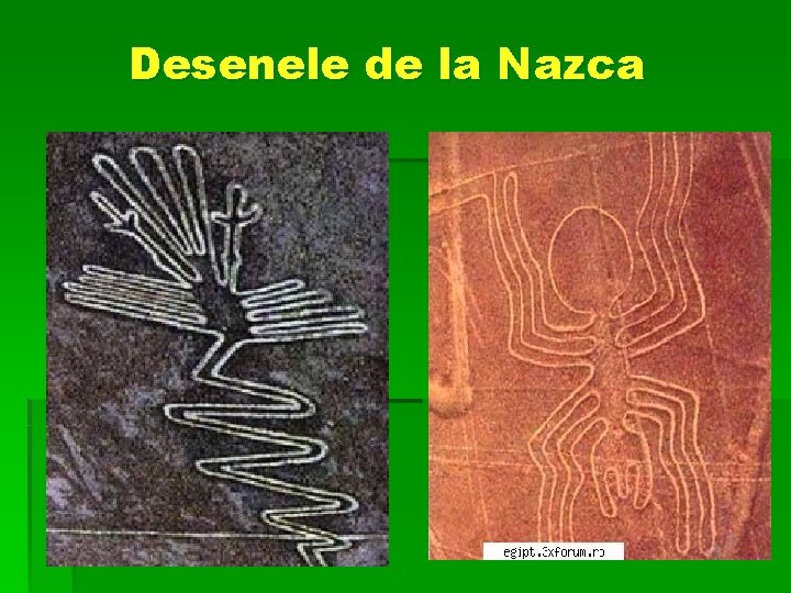 Desenele de la Nazca 