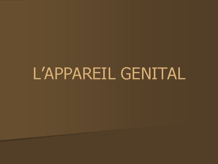 L’APPAREIL GENITAL 