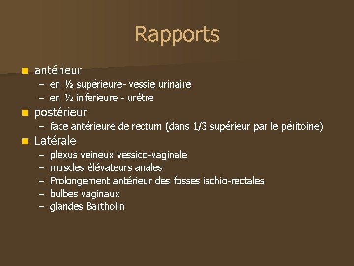Rapports n antérieur – en ½ supérieure- vessie urinaire – en ½ inferieure -