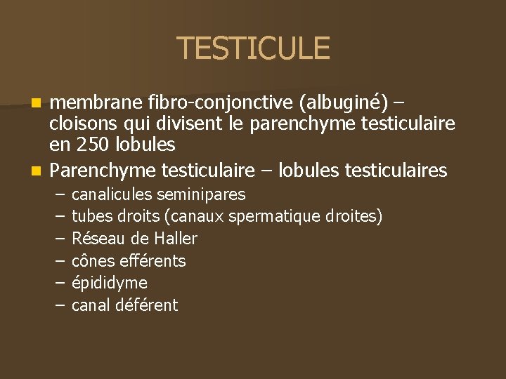 TESTICULE membrane fibro-conjonctive (albuginé) – cloisons qui divisent le parenchyme testiculaire en 250 lobules