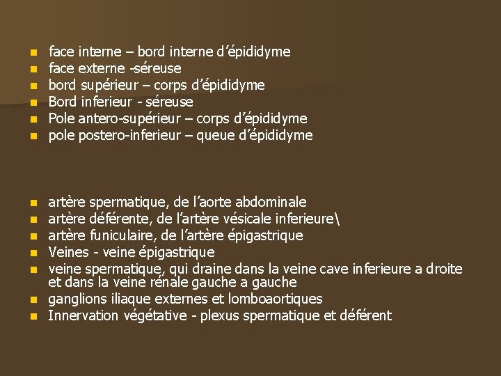 n n n face interne – bord interne d’épididyme face externe -séreuse bord supérieur