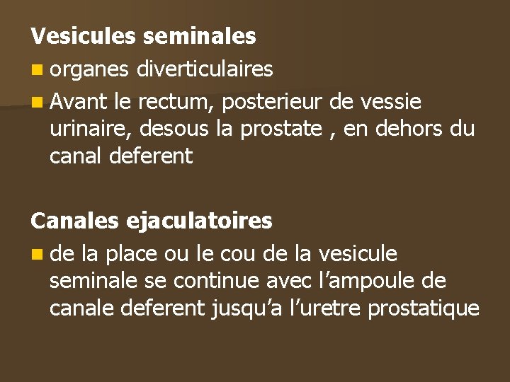Vesicules seminales n organes diverticulaires n Avant le rectum, posterieur de vessie urinaire, desous