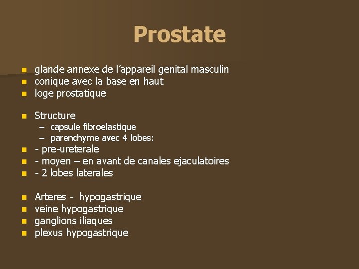 Prostate n n n glande annexe de l’appareil genital masculin conique avec la base