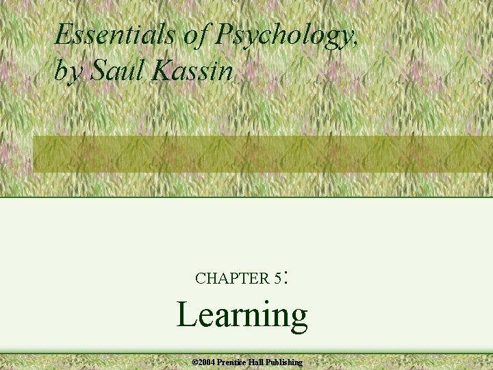 Essentials of Psychology, by Saul Kassin CHAPTER 5 : Learning © 2004 Prentice Hall