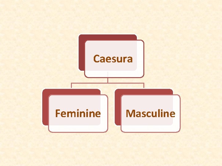 Caesura Feminine Masculine 