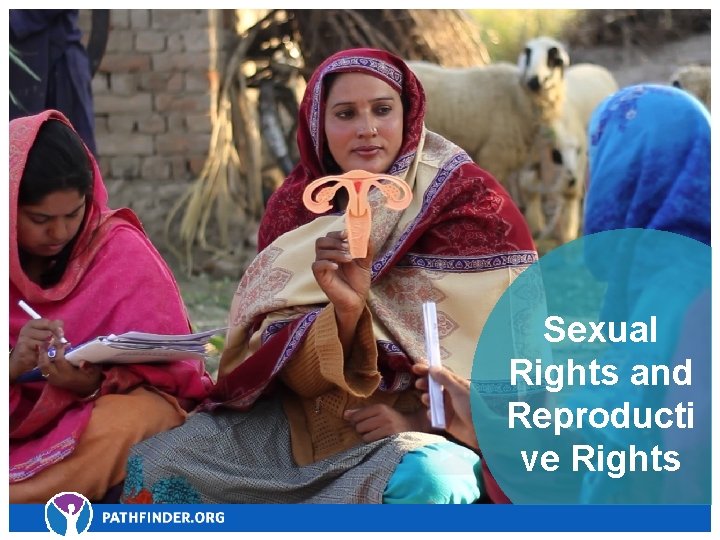 Sexual Rights and Reproducti ve Rights 