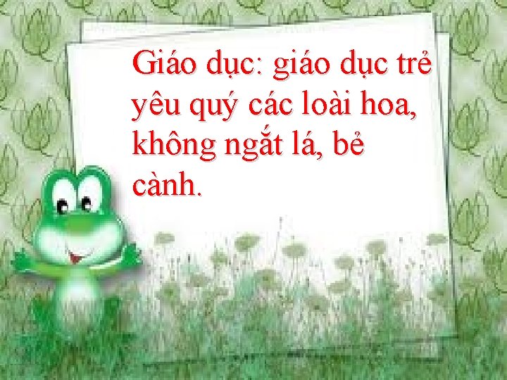 Giáo dục: giáo dục trẻ yêu quý các loài hoa, không ngắt lá, bẻ